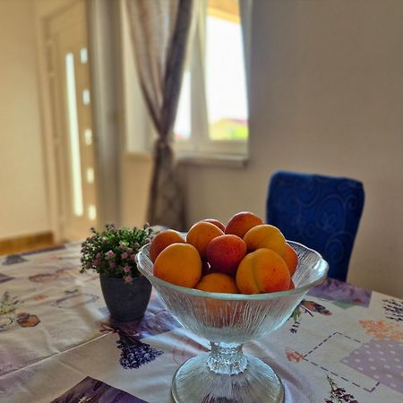 Apartments Josi - Parking And Barbecue Grebaštica 外观 照片