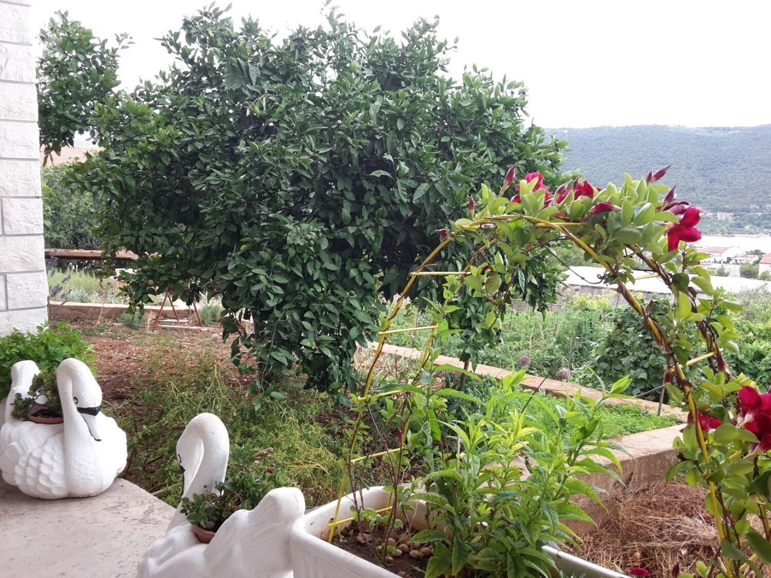 Apartments Josi - Parking And Barbecue Grebaštica 外观 照片